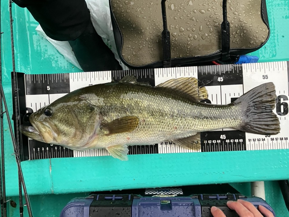 釣果写真2