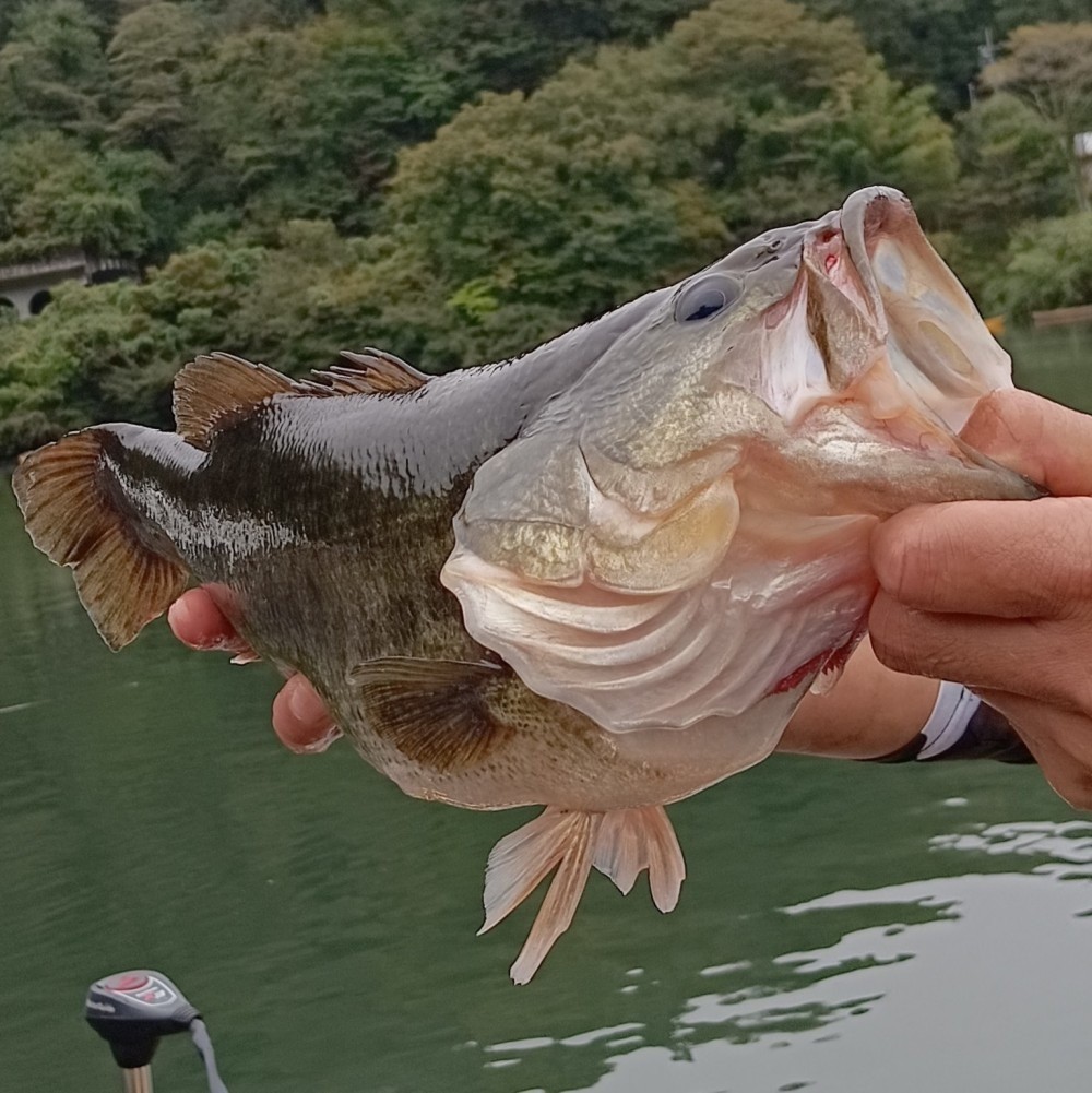釣果写真2