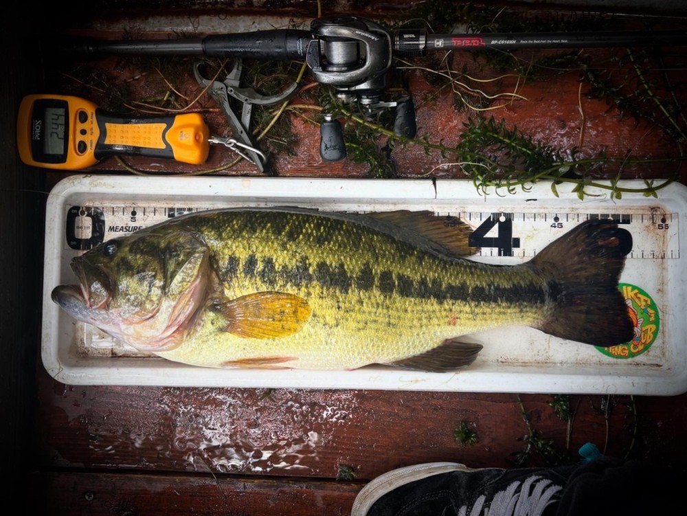 釣果写真2