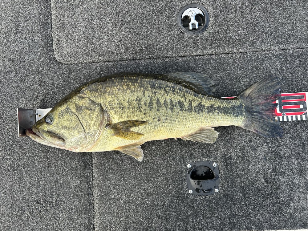 釣果写真2