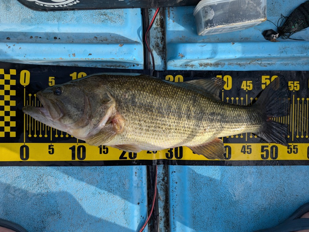 釣果写真2