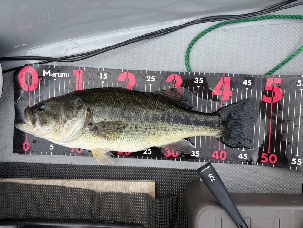釣果写真2