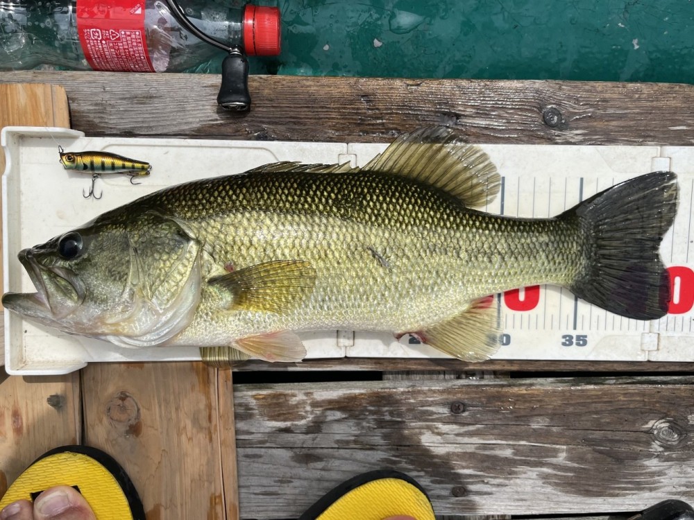 釣果写真2