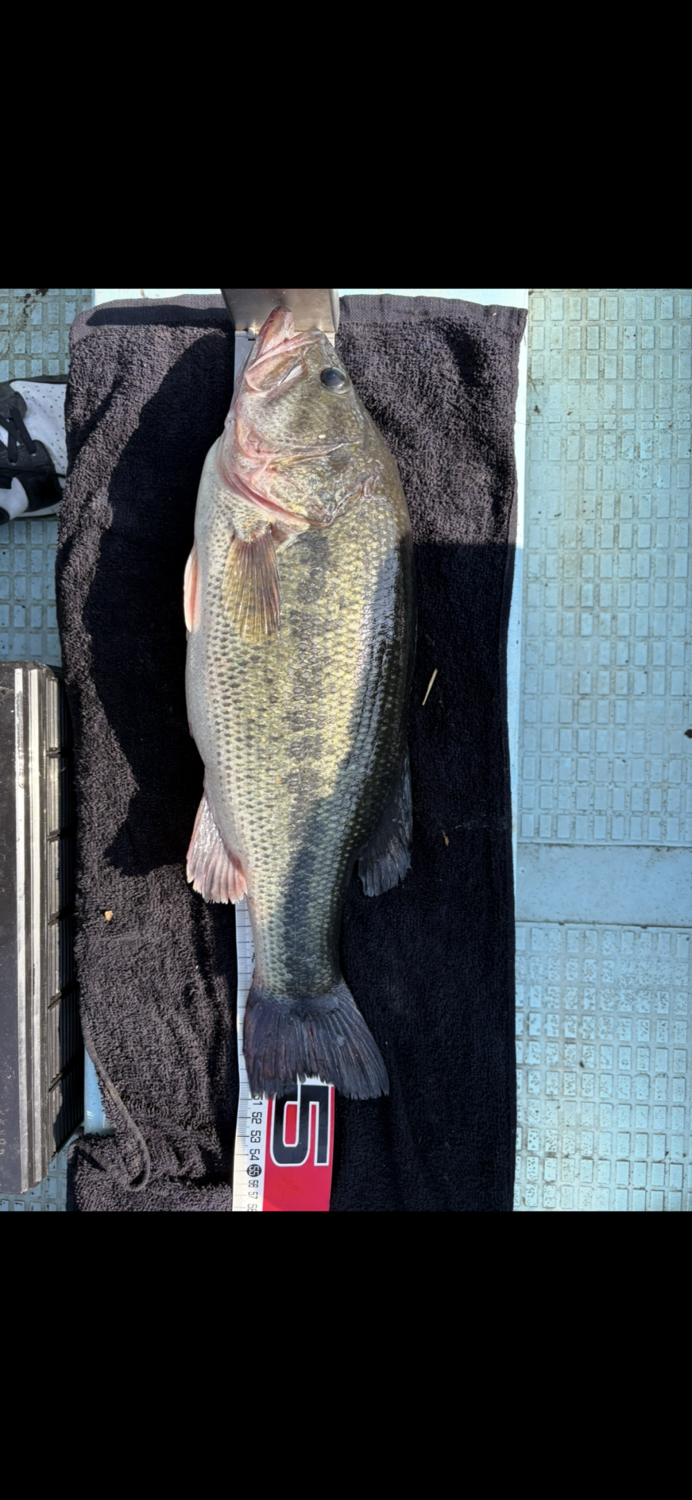 釣果写真2