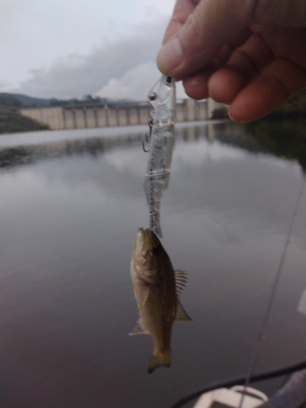 釣果写真1