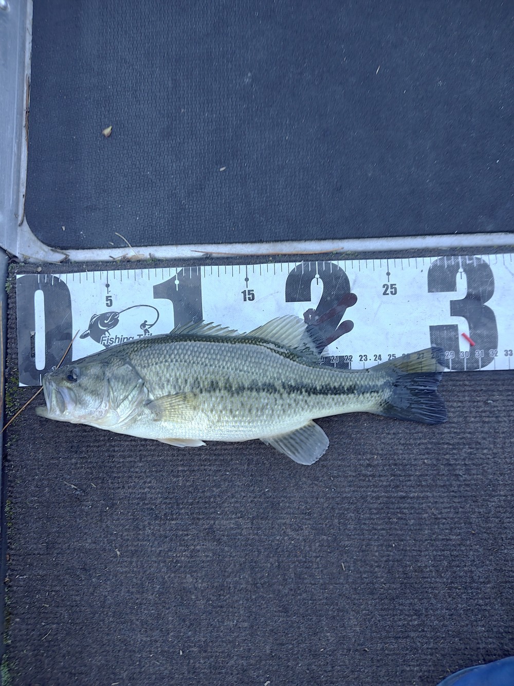 釣果写真1