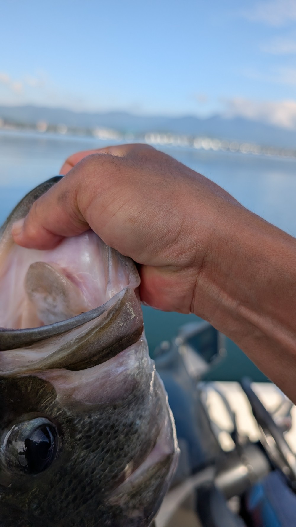 釣果写真1