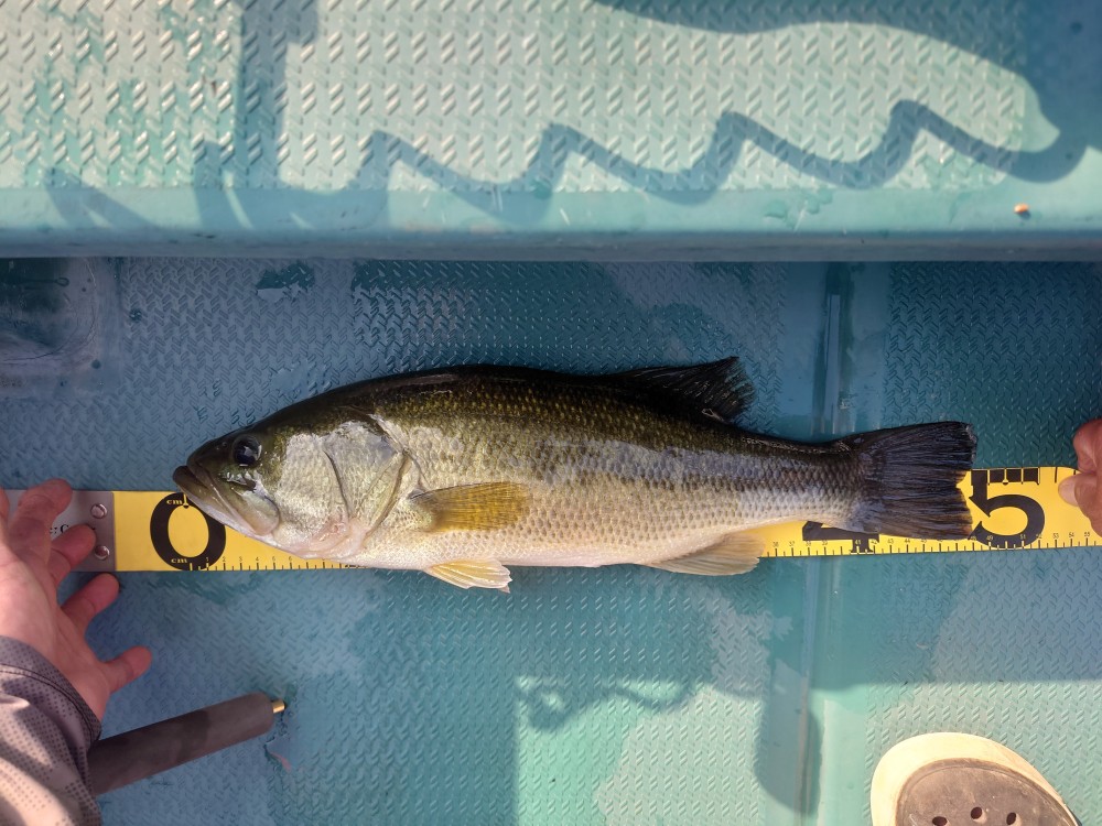 釣果写真1