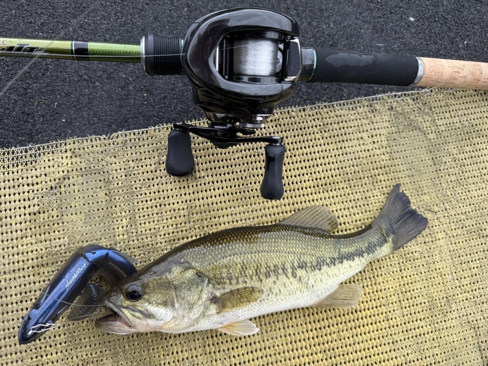 釣果写真3