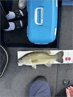 釣果写真2