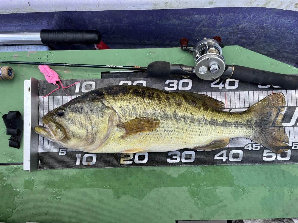 釣果写真2