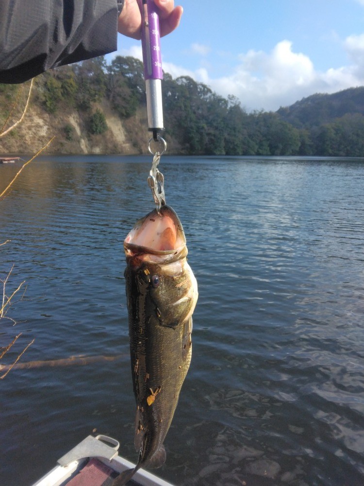 釣果写真2