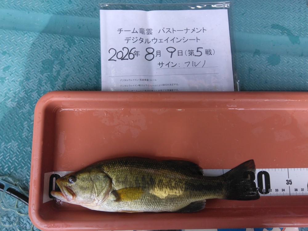 釣果写真2