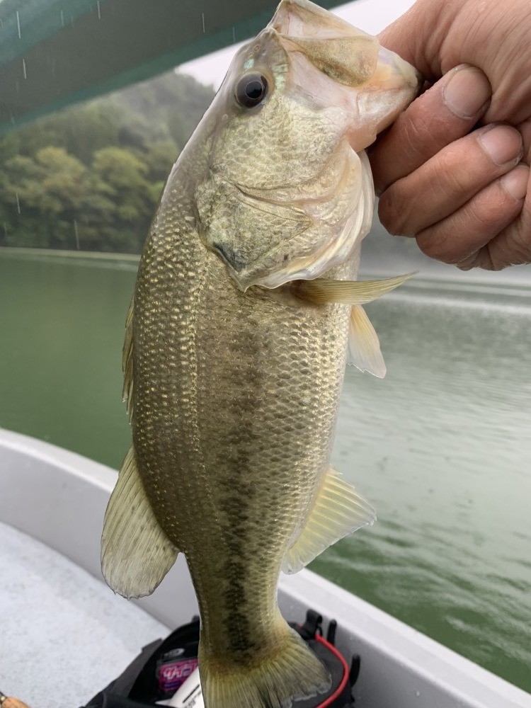 釣果写真2