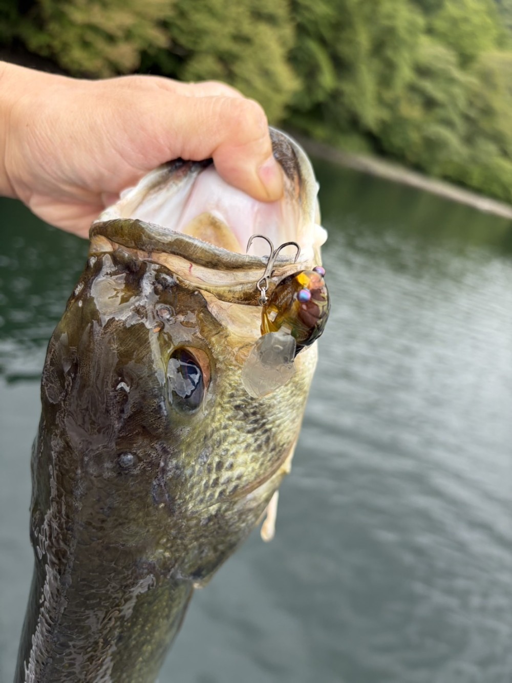 釣果写真1