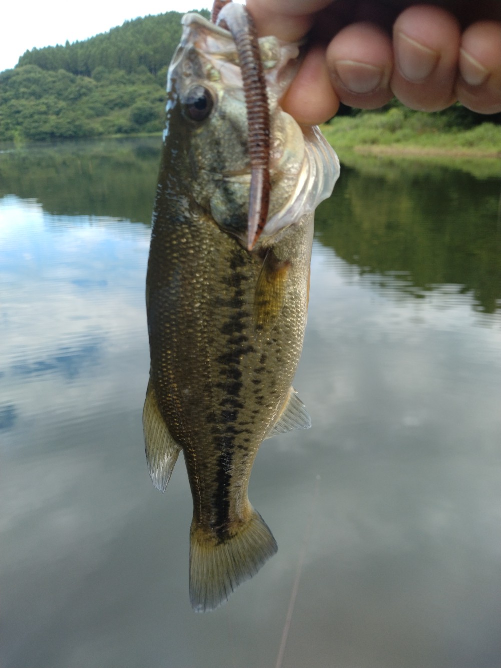 釣果写真3