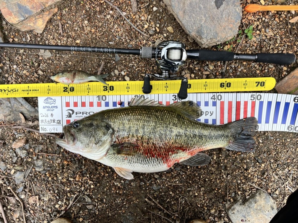 釣果写真2