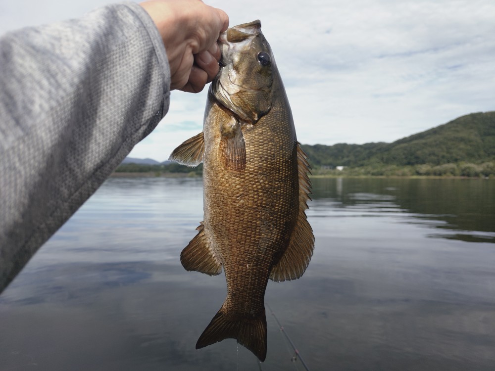 釣果写真1