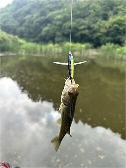 釣果写真2