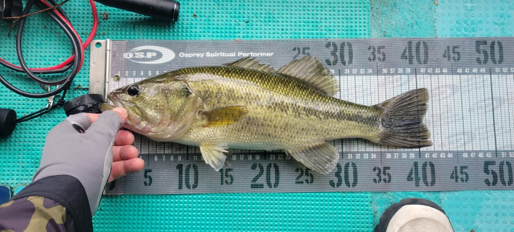 釣果写真1