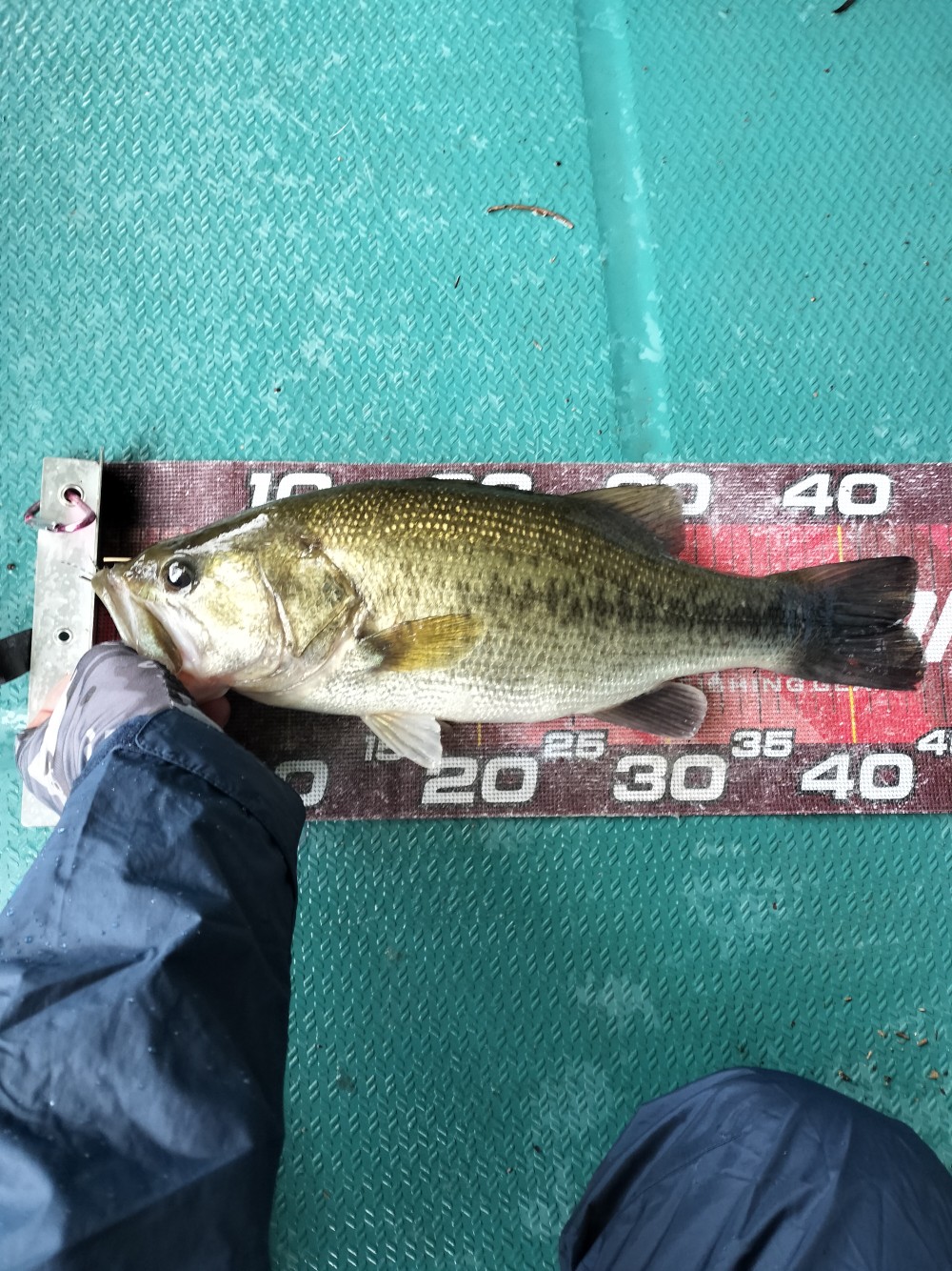 釣果写真2