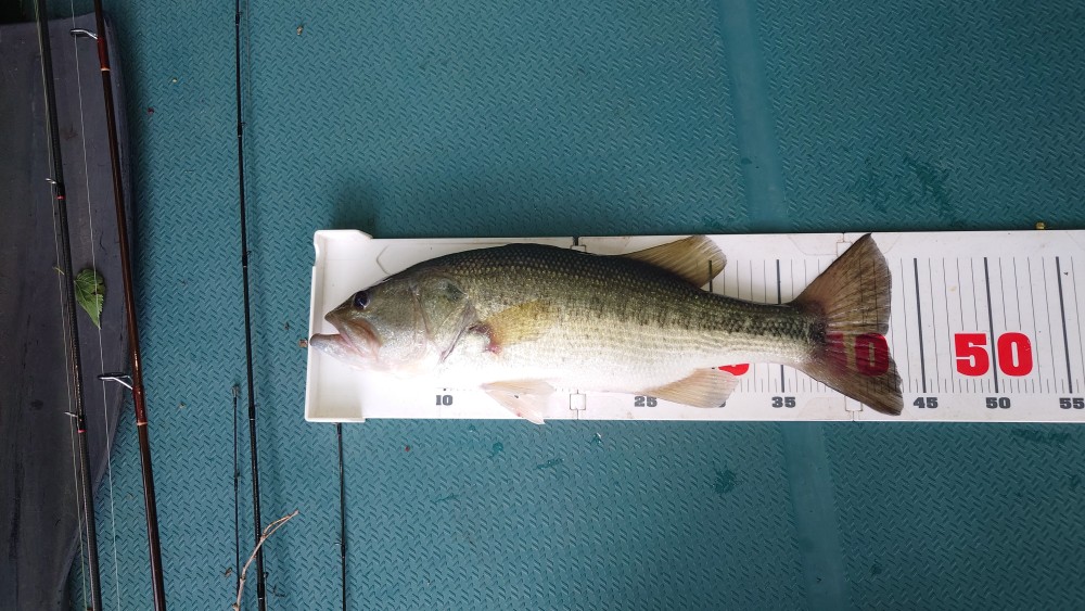 釣果写真2