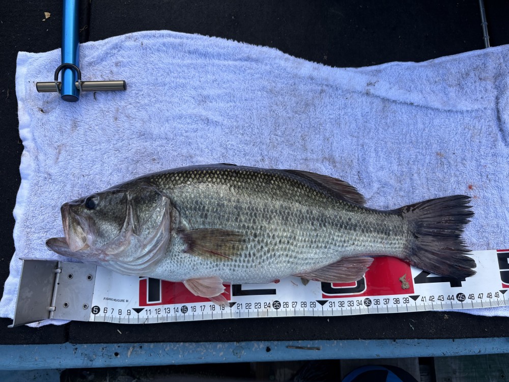 釣果写真6
