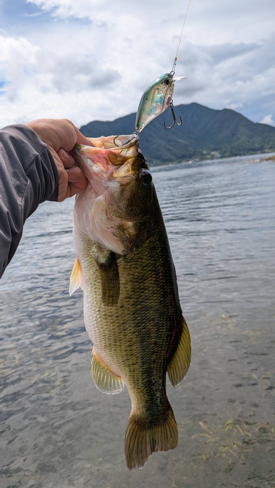 釣果写真2