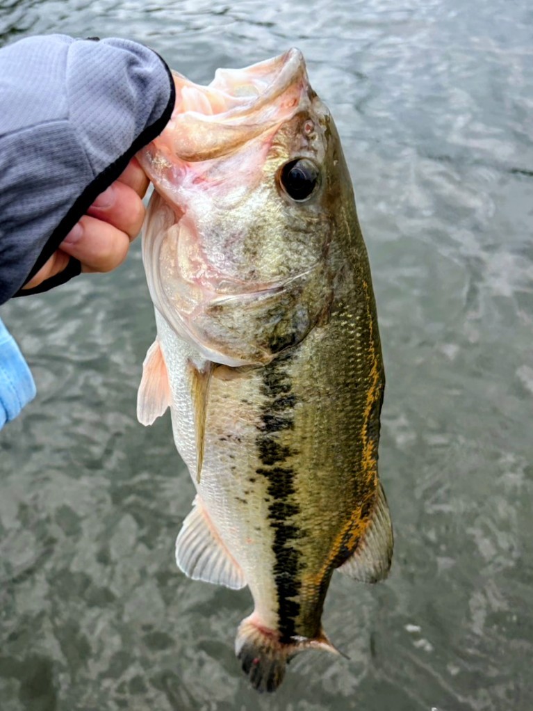 釣果写真2