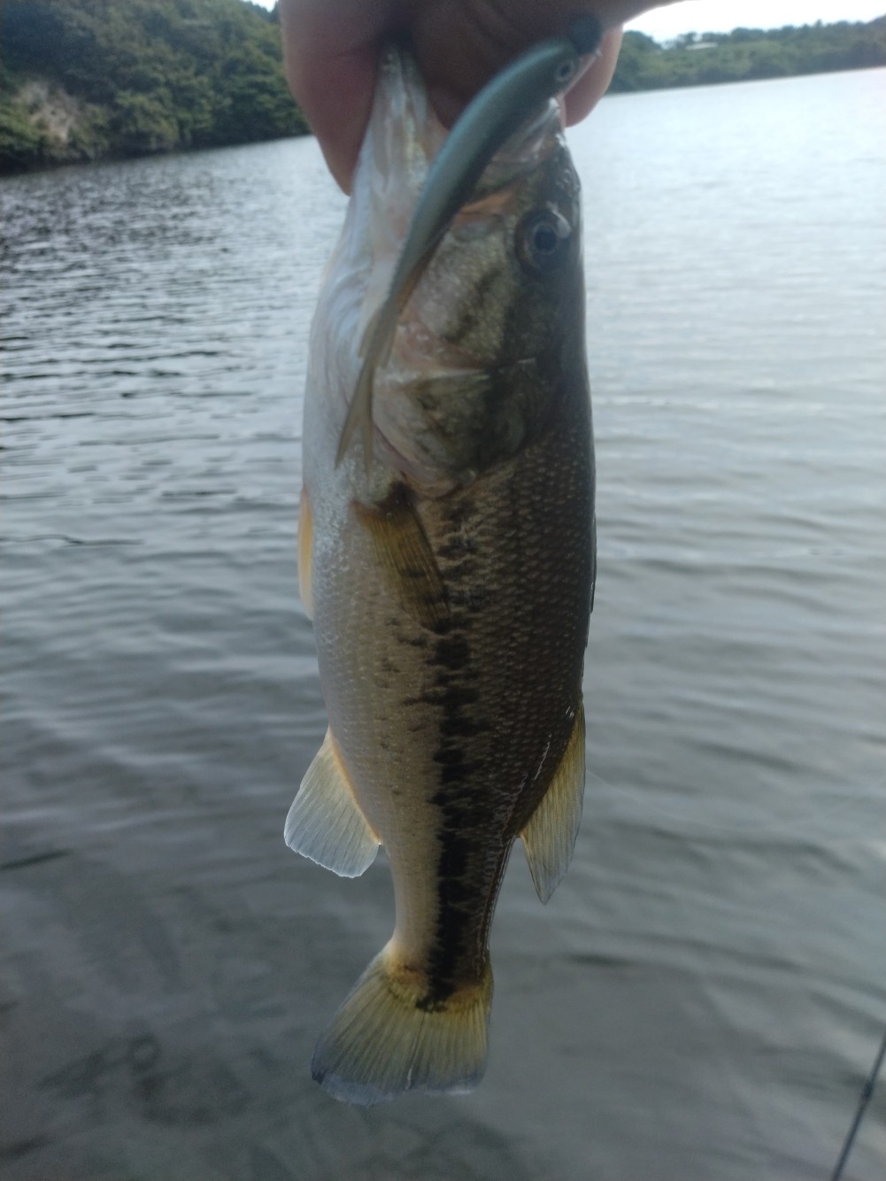 釣果写真3