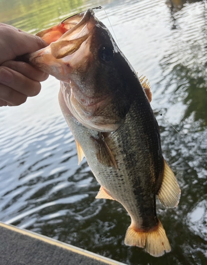 釣果写真3