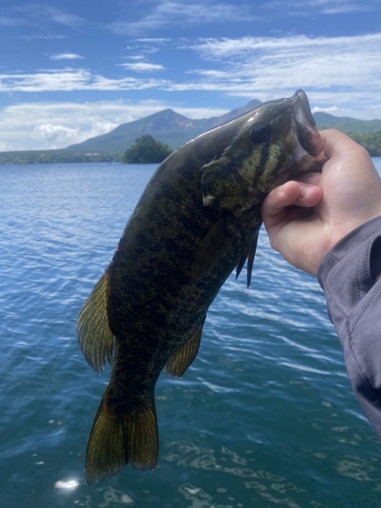 釣果写真2