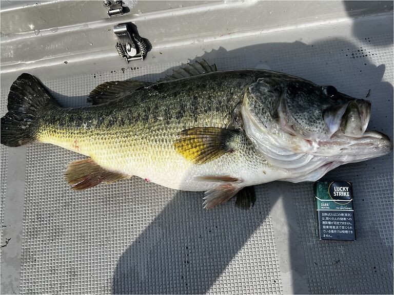 釣果写真2