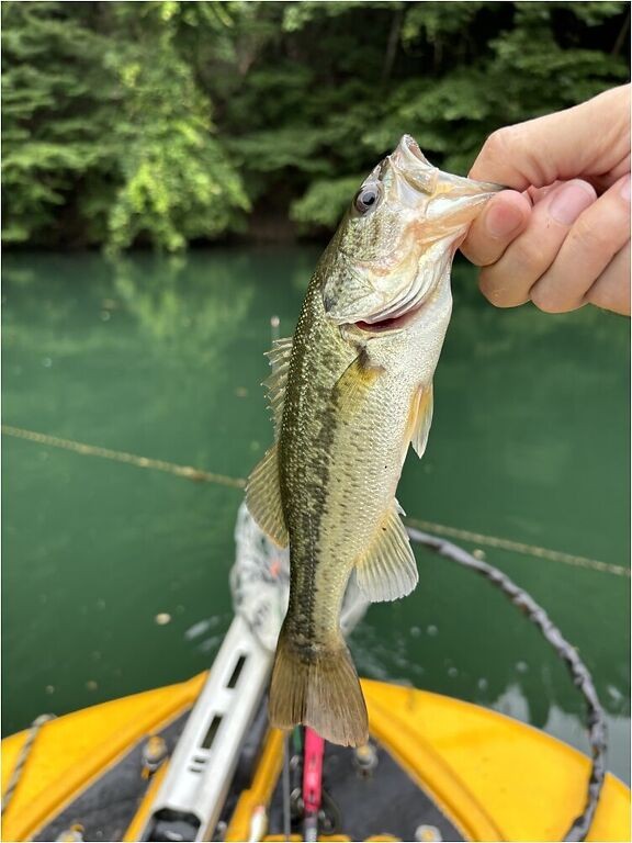 釣果写真3