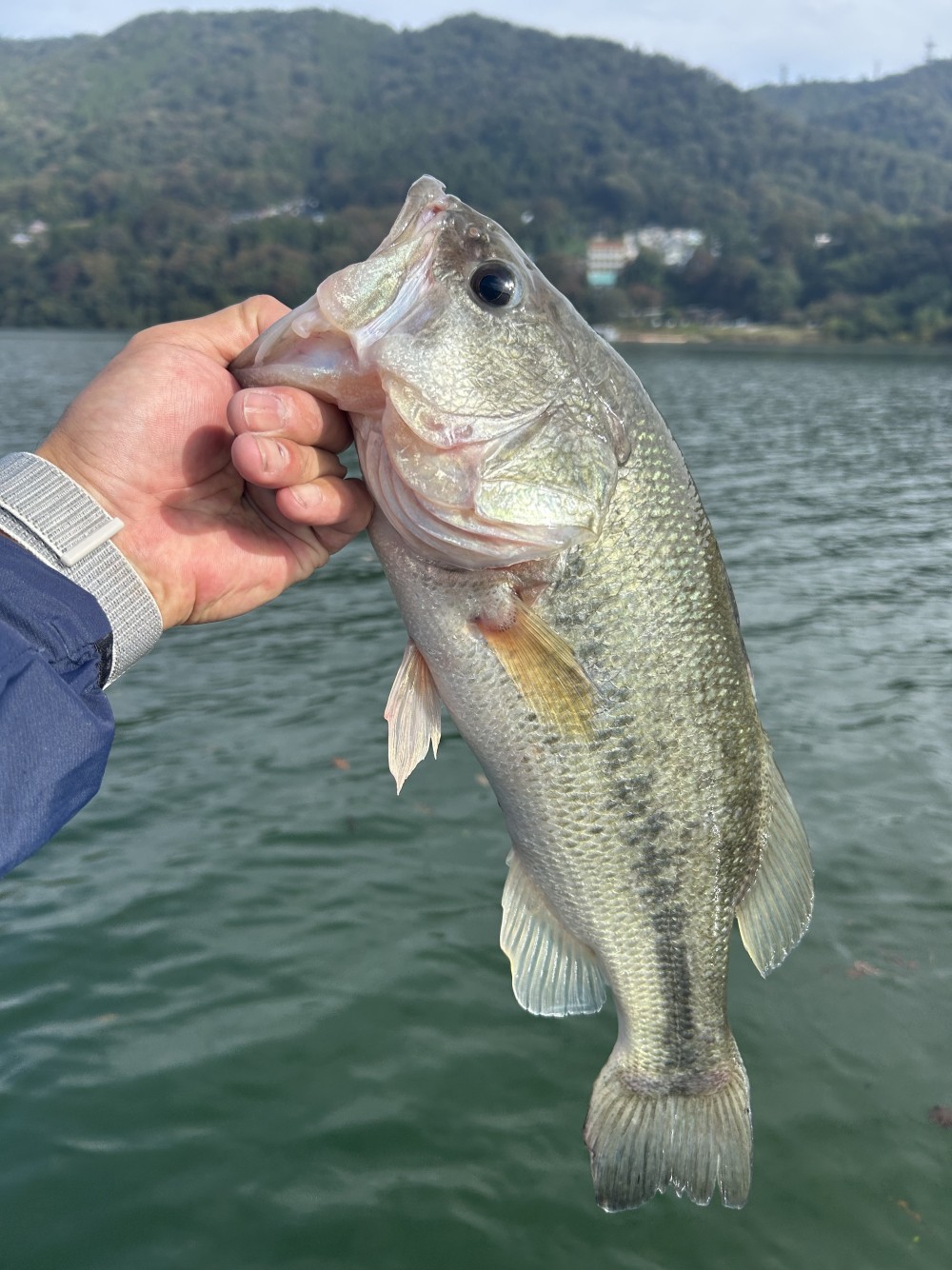 釣果写真1