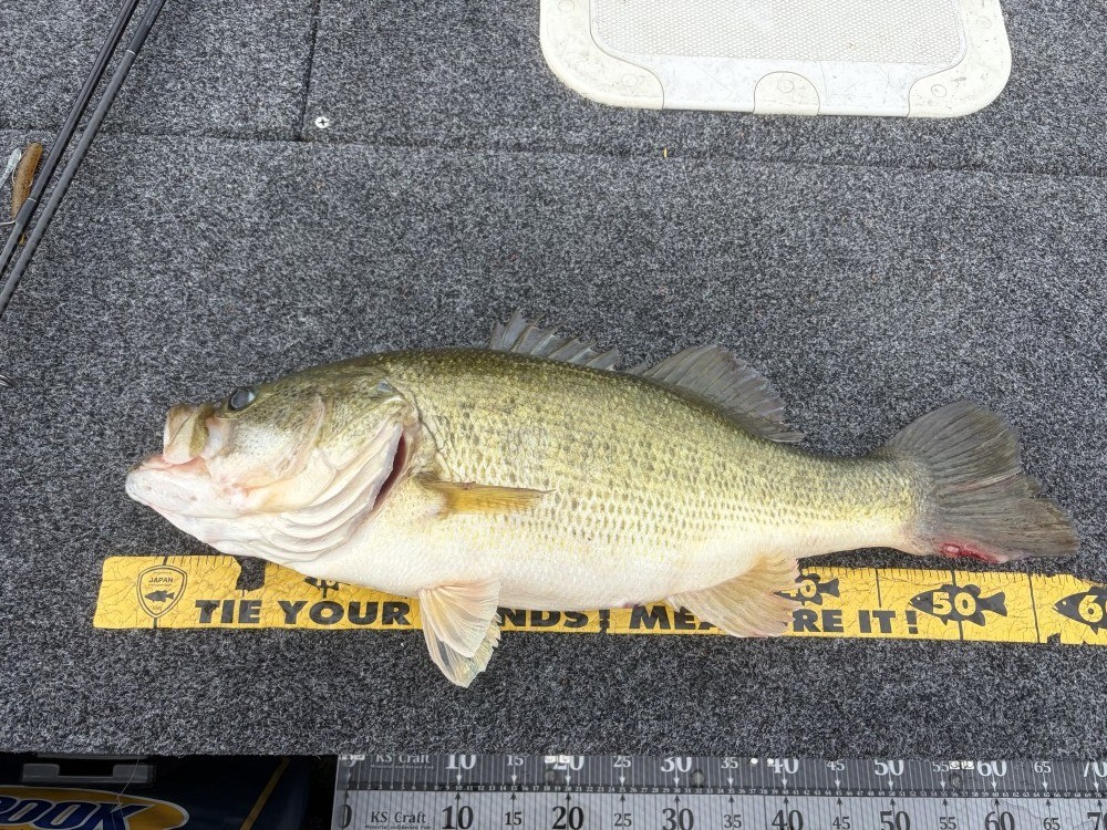 釣果写真1