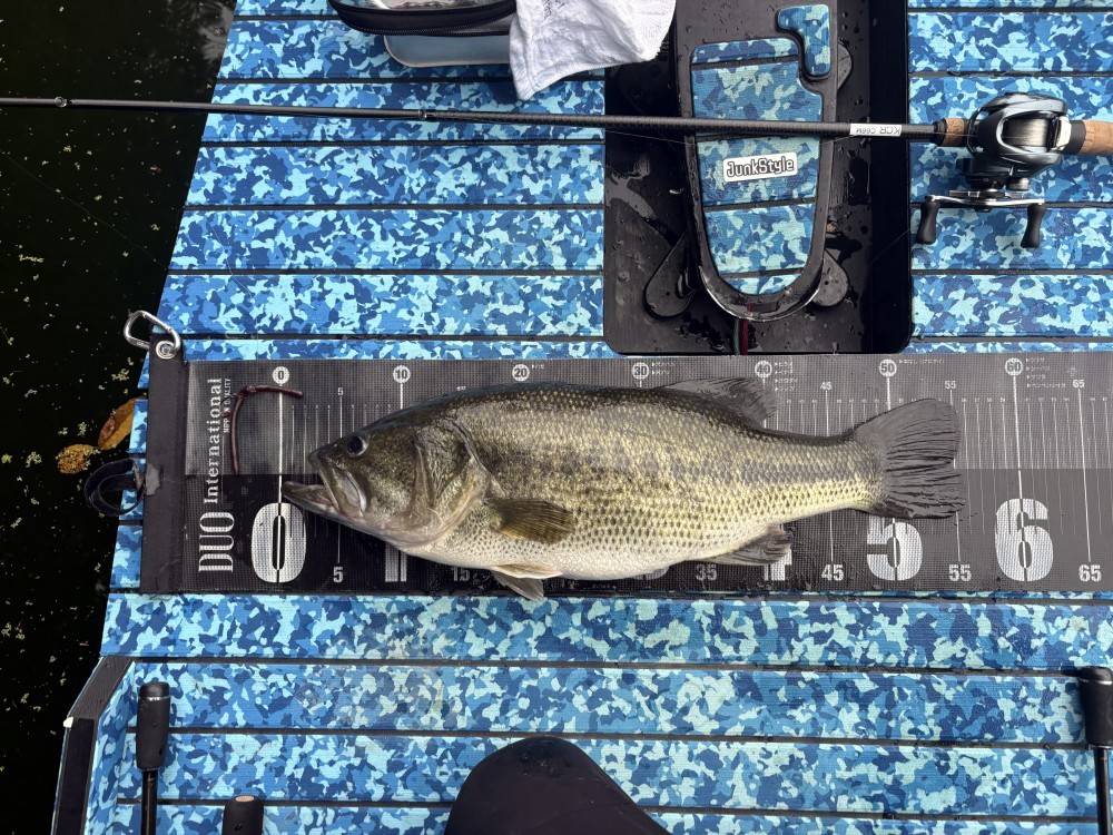 釣果写真3