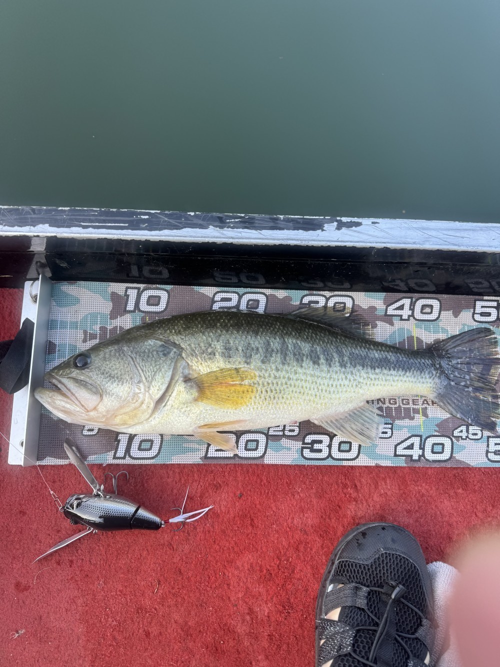 釣果写真3