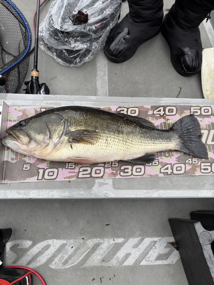 釣果写真1