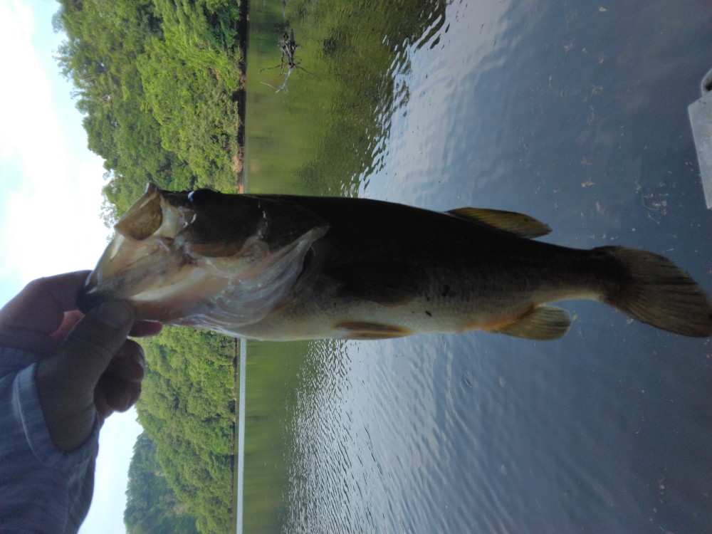 釣果写真1