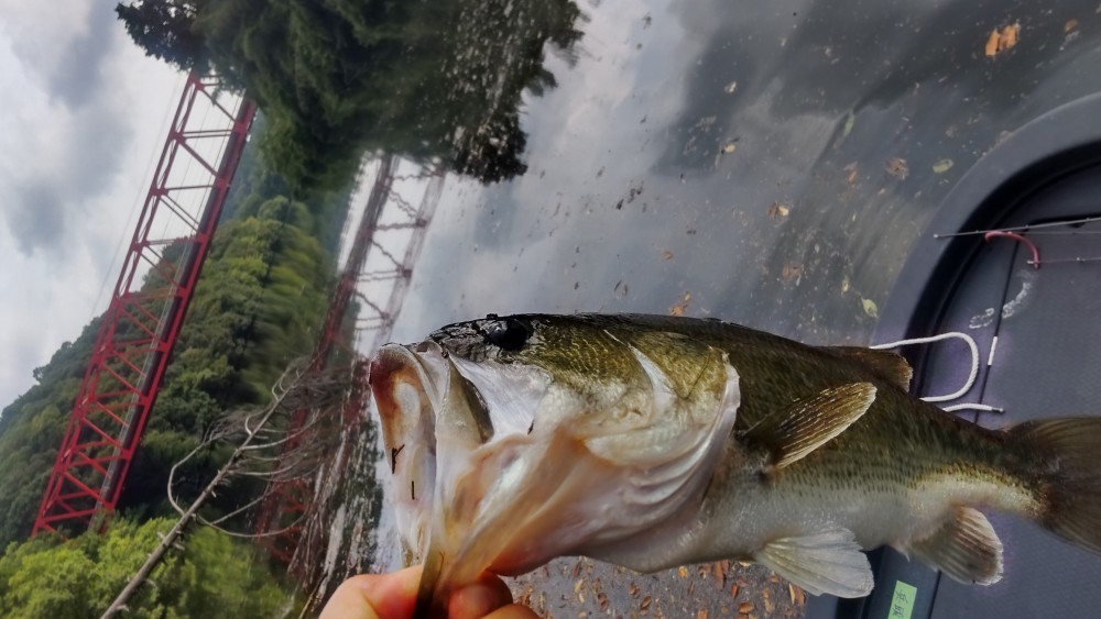 釣果写真2