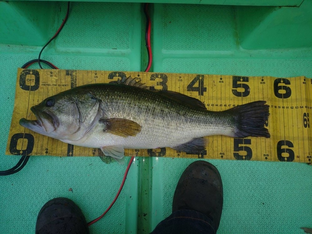釣果写真2