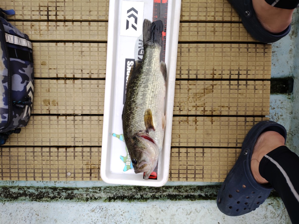 釣果写真2