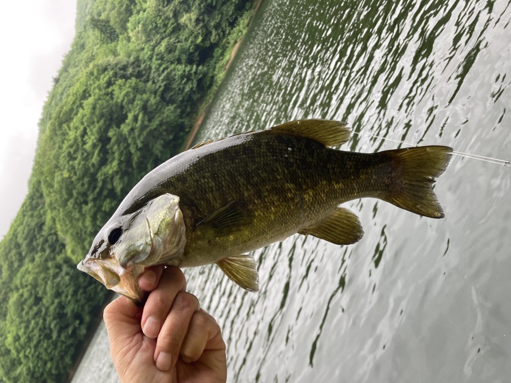 釣果写真1