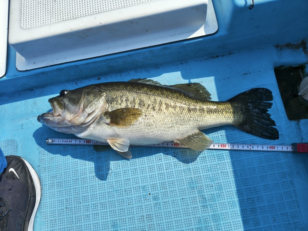 釣果写真2