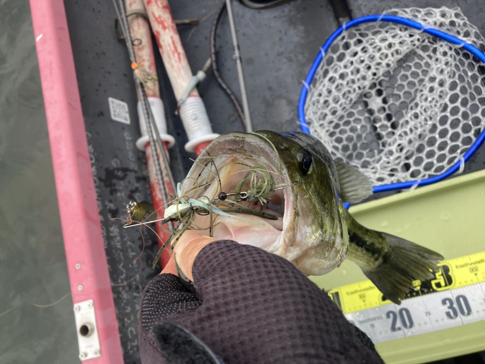 釣果写真2