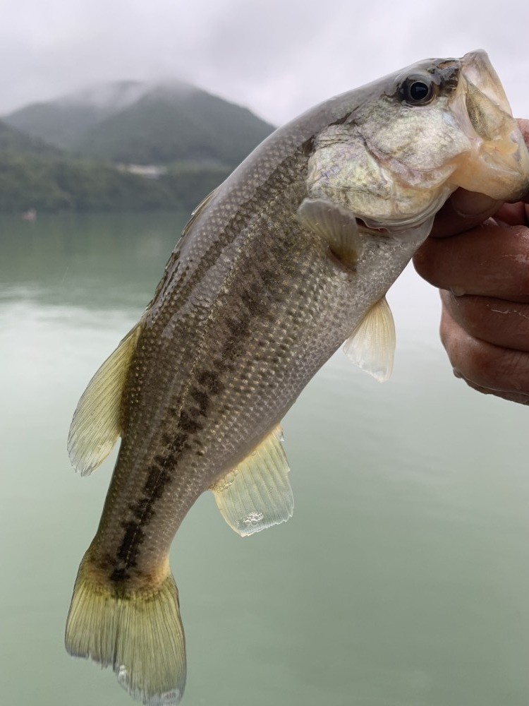釣果写真4