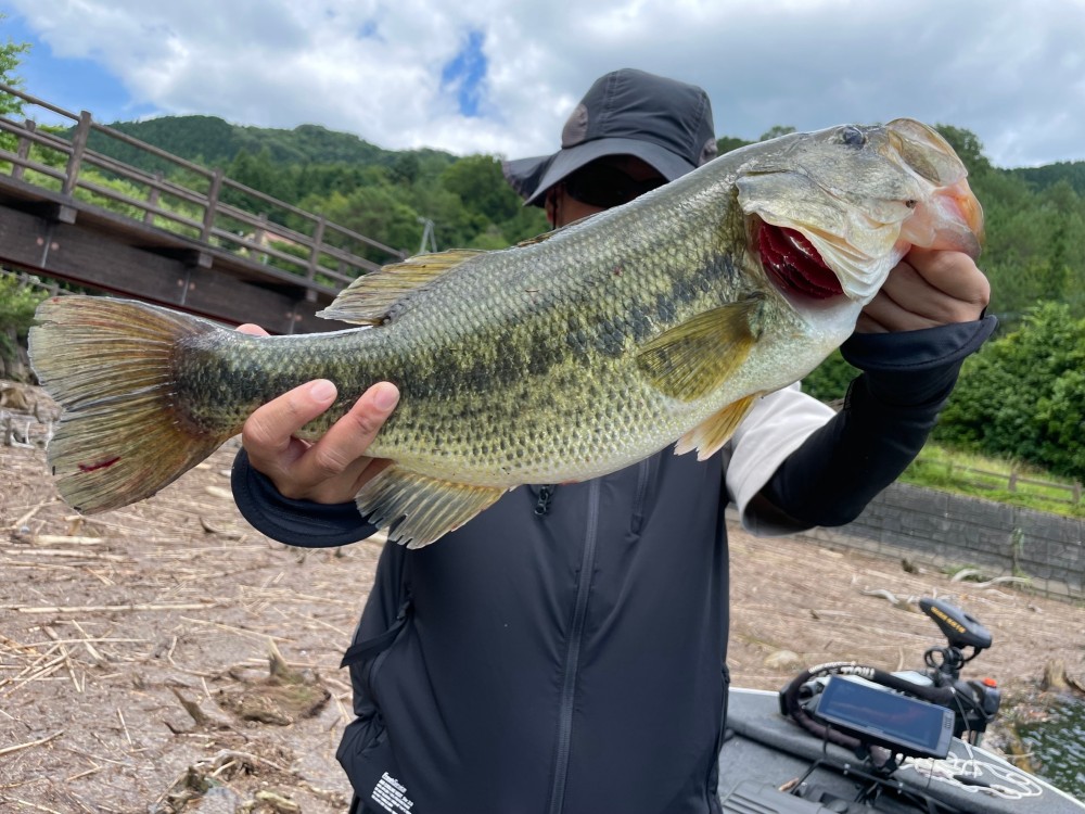 釣果写真2