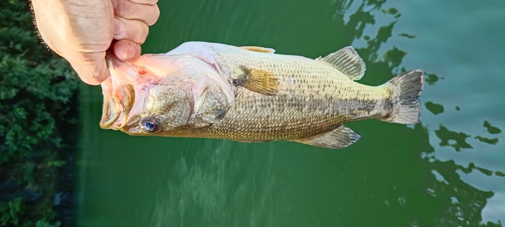 釣果写真1