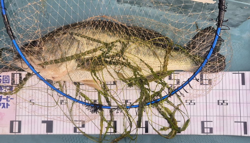 釣果写真2